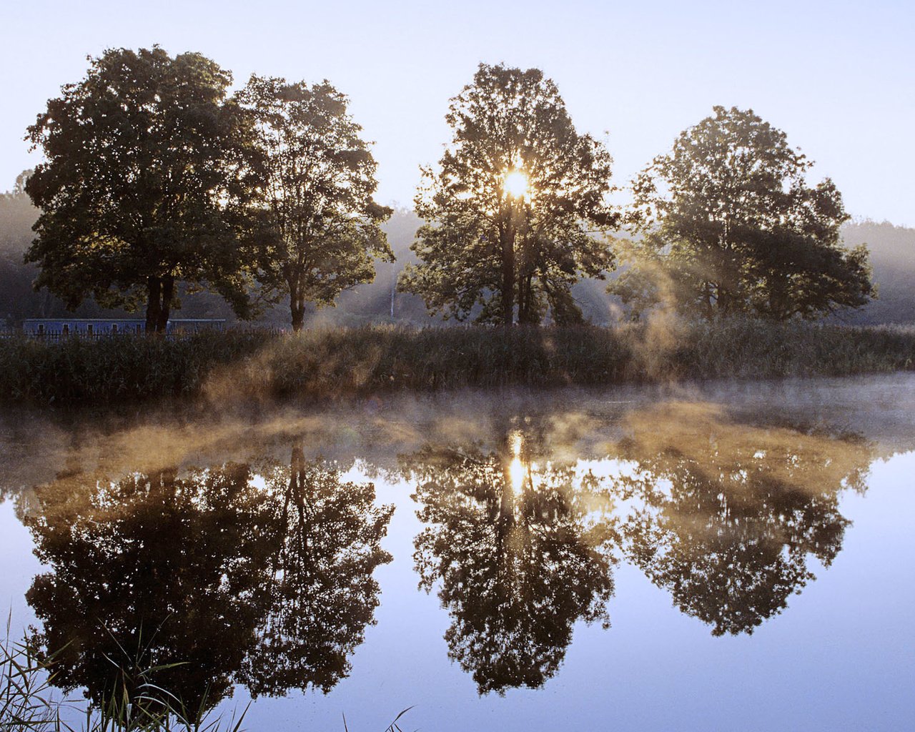 Обои деревья, река, солнце, отражение, луч, польша, trees, river, the sun, reflection, ray, poland разрешение 1920x1200 Загрузить