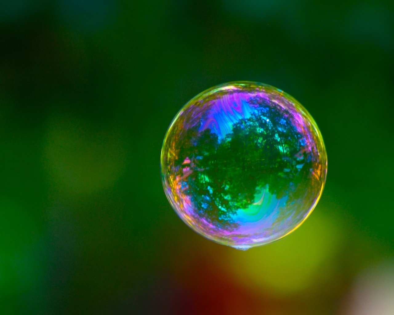 Обои зелёный, цвет, пузырь, green, color, bubble разрешение 2560x1600 Загрузить