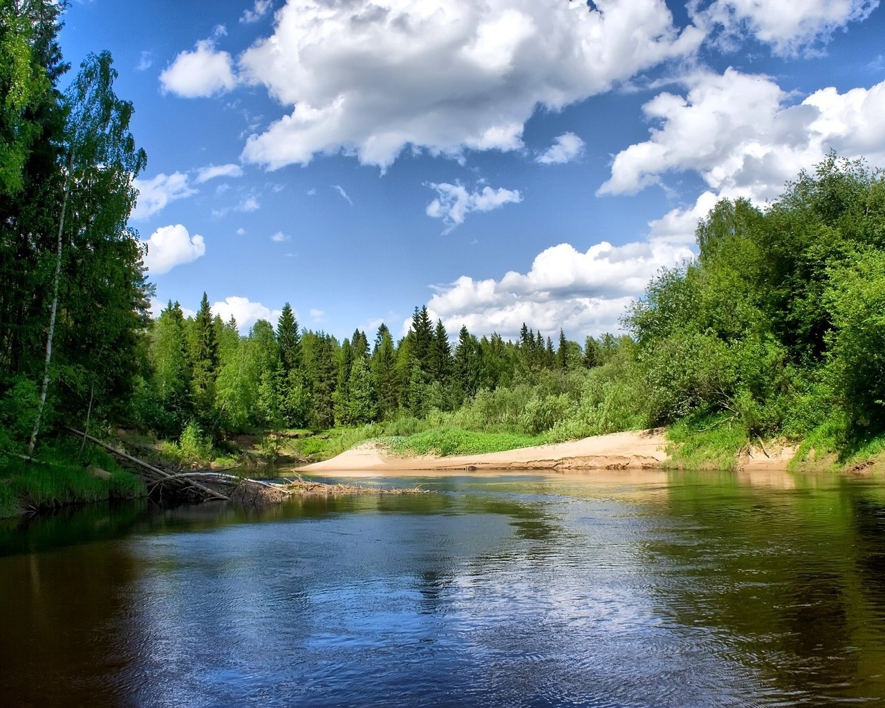 Обои облака, деревья, река, clouds, trees, river разрешение 2000x1333 Загрузить