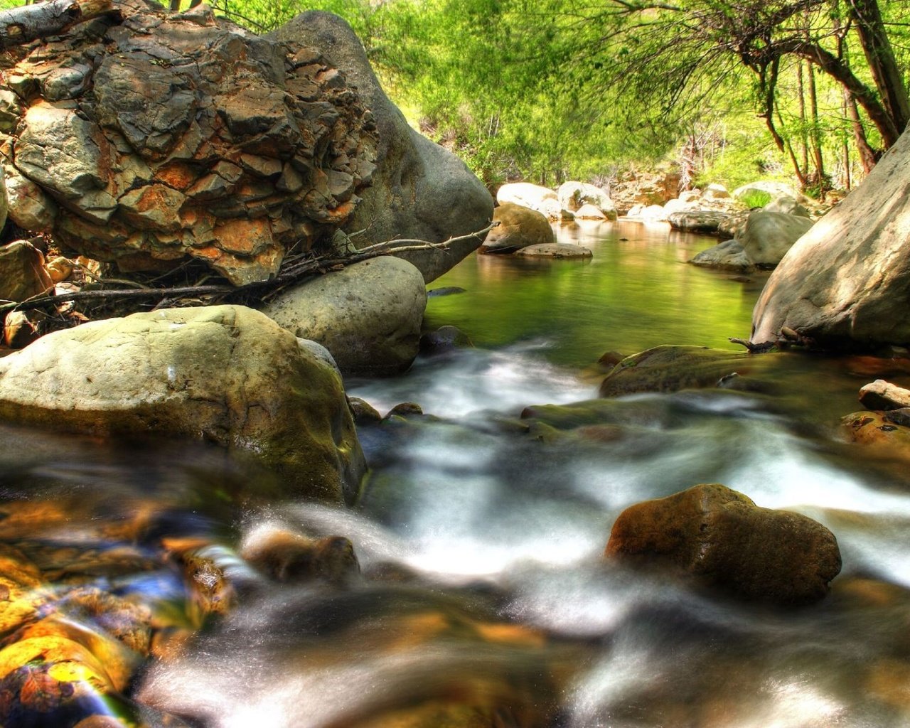 Обои камни, лес, ручей, stones, forest, stream разрешение 1920x1200 Загрузить