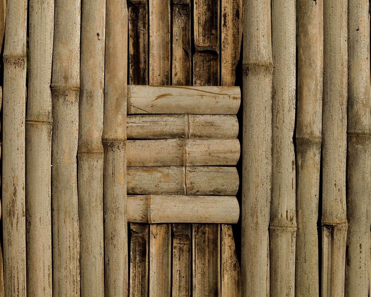 Обои текстура, стена, бамбук, фактура, плетение, texture, wall, bamboo, netting разрешение 1920x1200 Загрузить