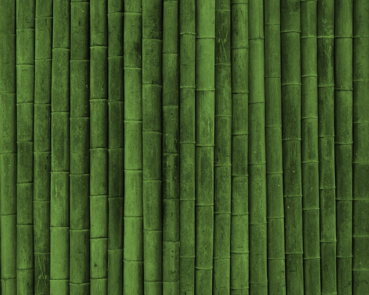 Обои обои, текстуры, бамбук, texture wallpapers, green style, wallpaper, texture, bamboo разрешение 2560x1600 Загрузить