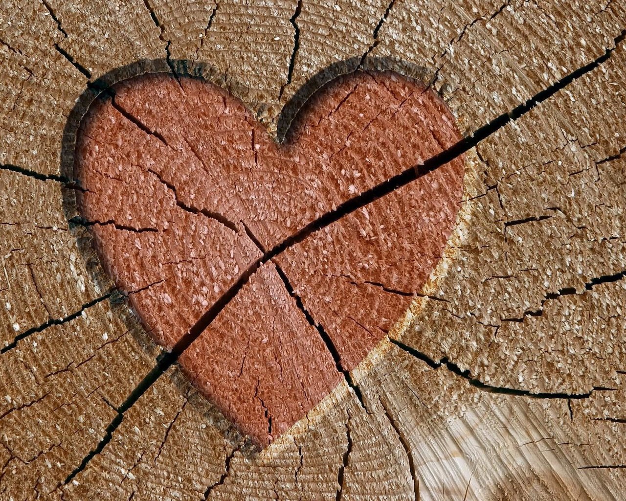 Обои дерево, сердце, трещины, tree, heart, cracked разрешение 1920x1200 Загрузить