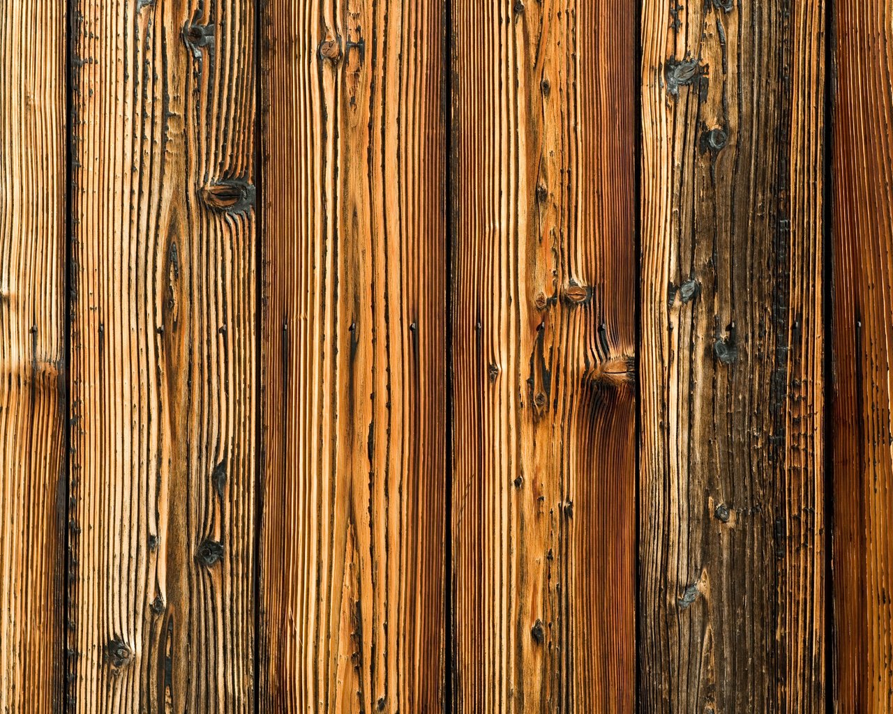 Обои дерево, доски, фактура, tree, board, texture разрешение 2560x1600 Загрузить