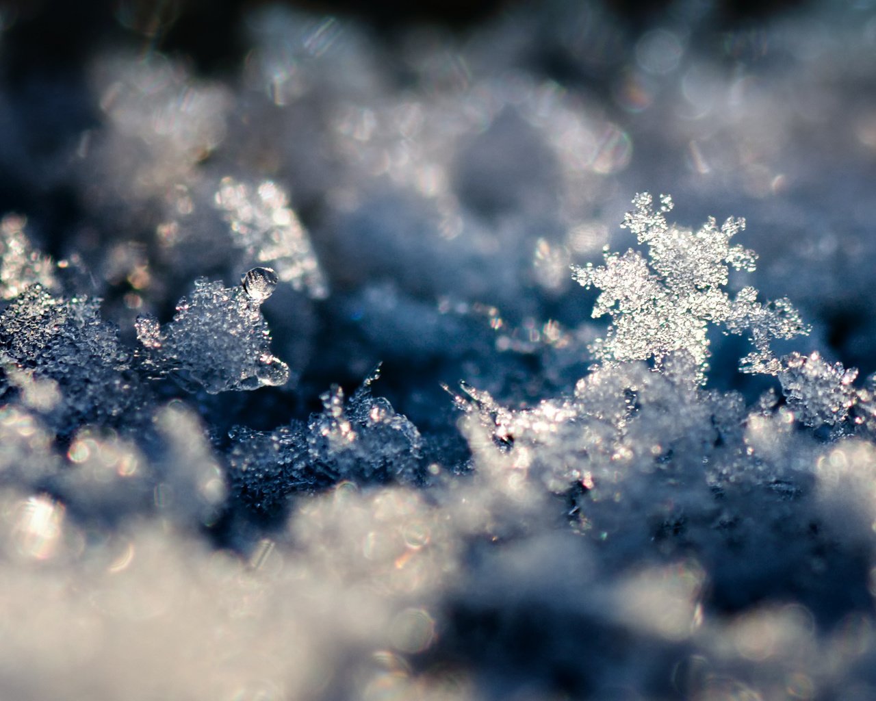 Обои снег, обои, зима, макро, снежинки, фото, фон, snow, wallpaper, winter, macro, snowflakes, photo, background разрешение 2560x1600 Загрузить