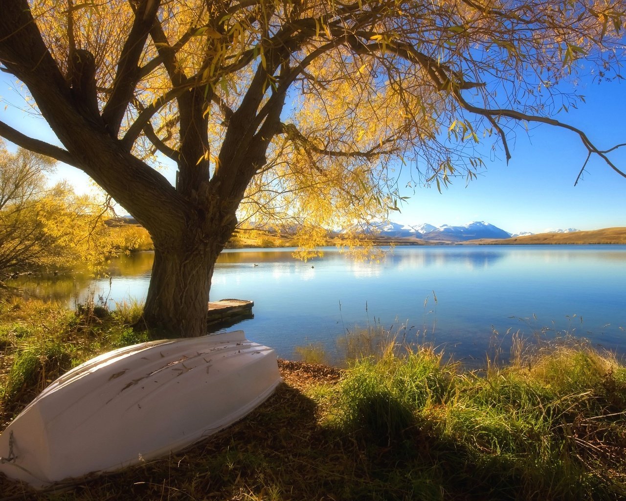 Обои озеро, дерево, осень, лодка, lake, tree, autumn, boat разрешение 2560x1600 Загрузить