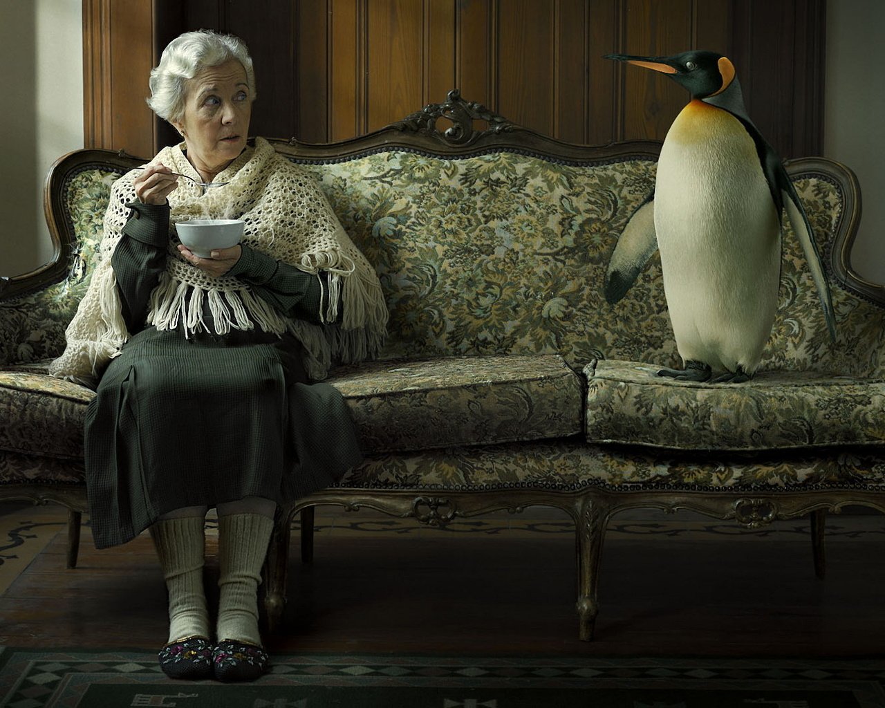 Обои пингвин, диван, бабушка, penguin, sofa, grandma разрешение 2040x1080 Загрузить