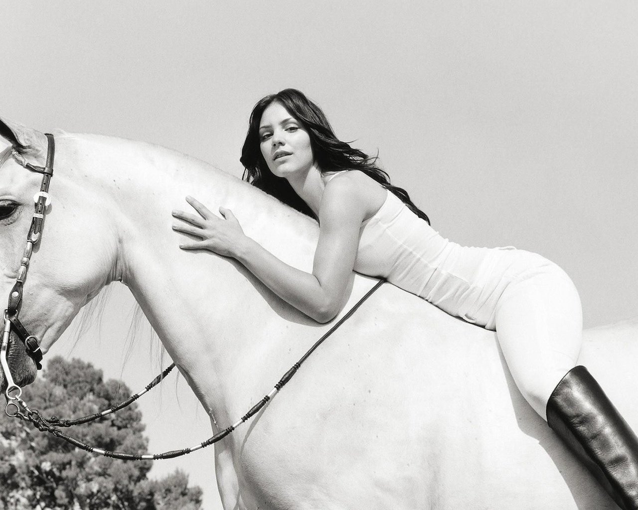 Обои лошадь, девушка, певица, кэтрин макфи, horse, girl, singer, katharine mcphee разрешение 1920x1200 Загрузить