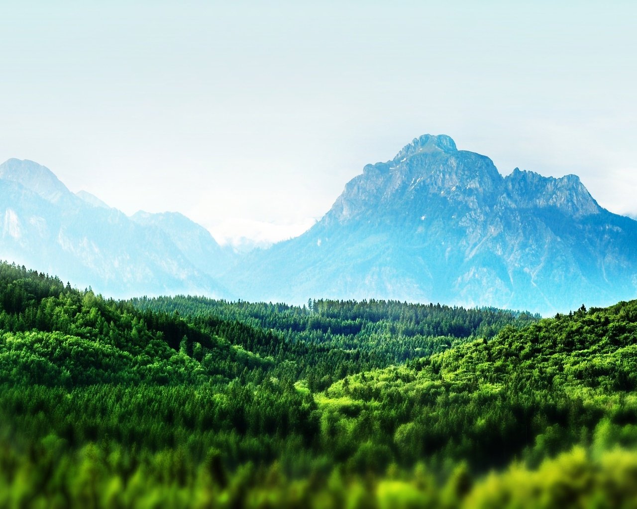 Обои деревья, горы, лес, trees, mountains, forest разрешение 2560x1600 Загрузить