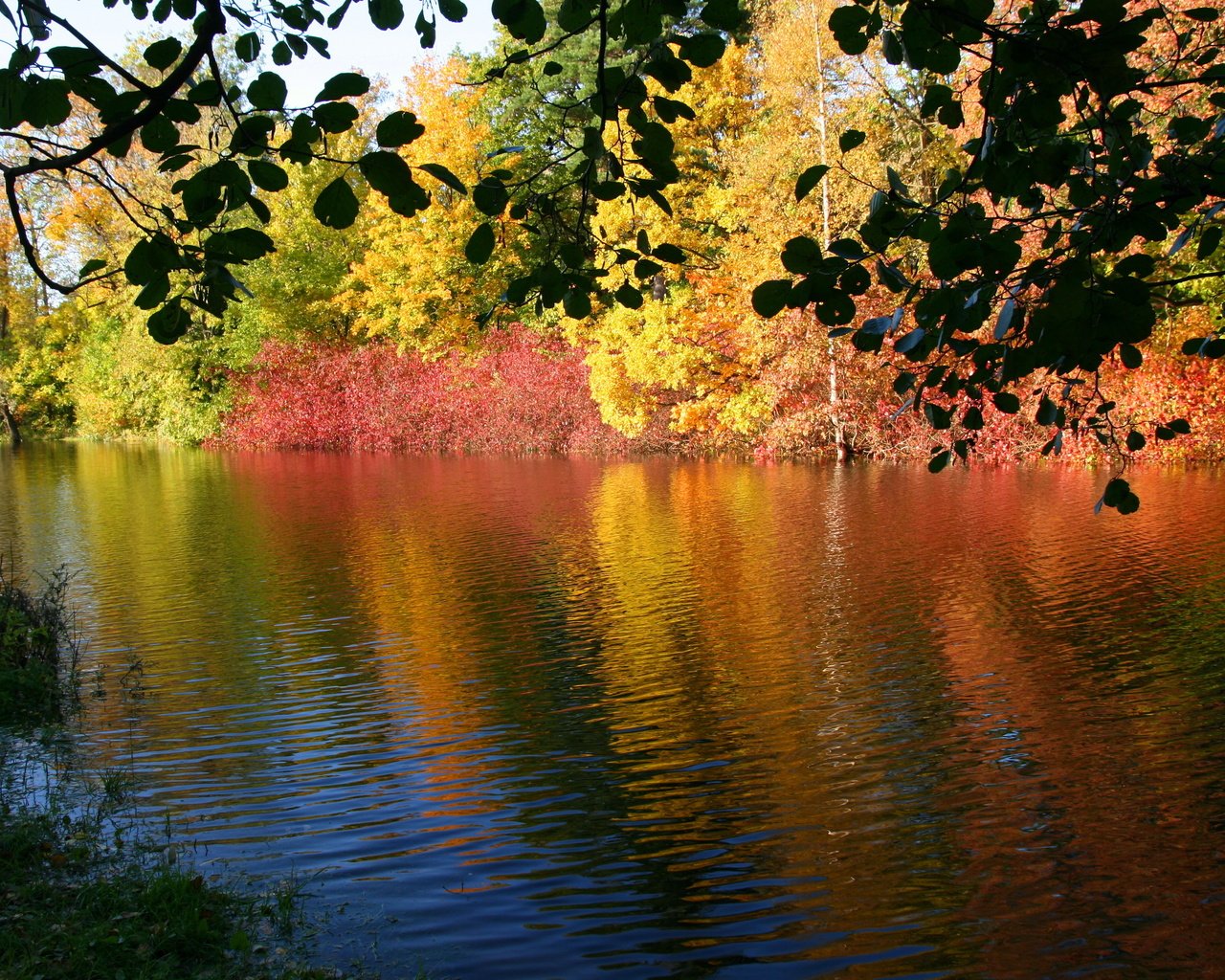 Обои река, природа, осень, river, nature, autumn разрешение 3671x2468 Загрузить