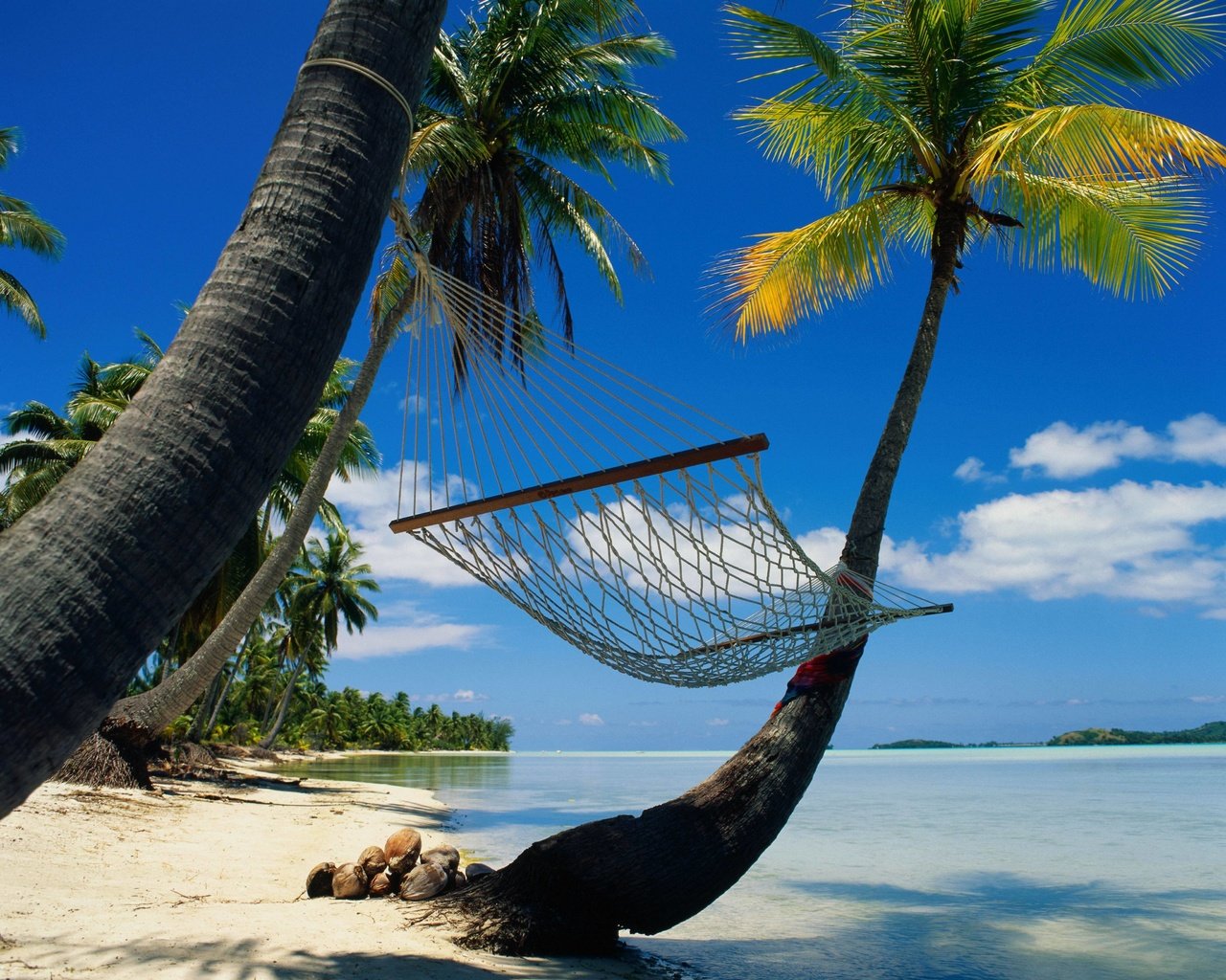 Обои пальмы, релакс, гамак, лагуна, palm trees, relax, hammock, laguna разрешение 4096x3337 Загрузить