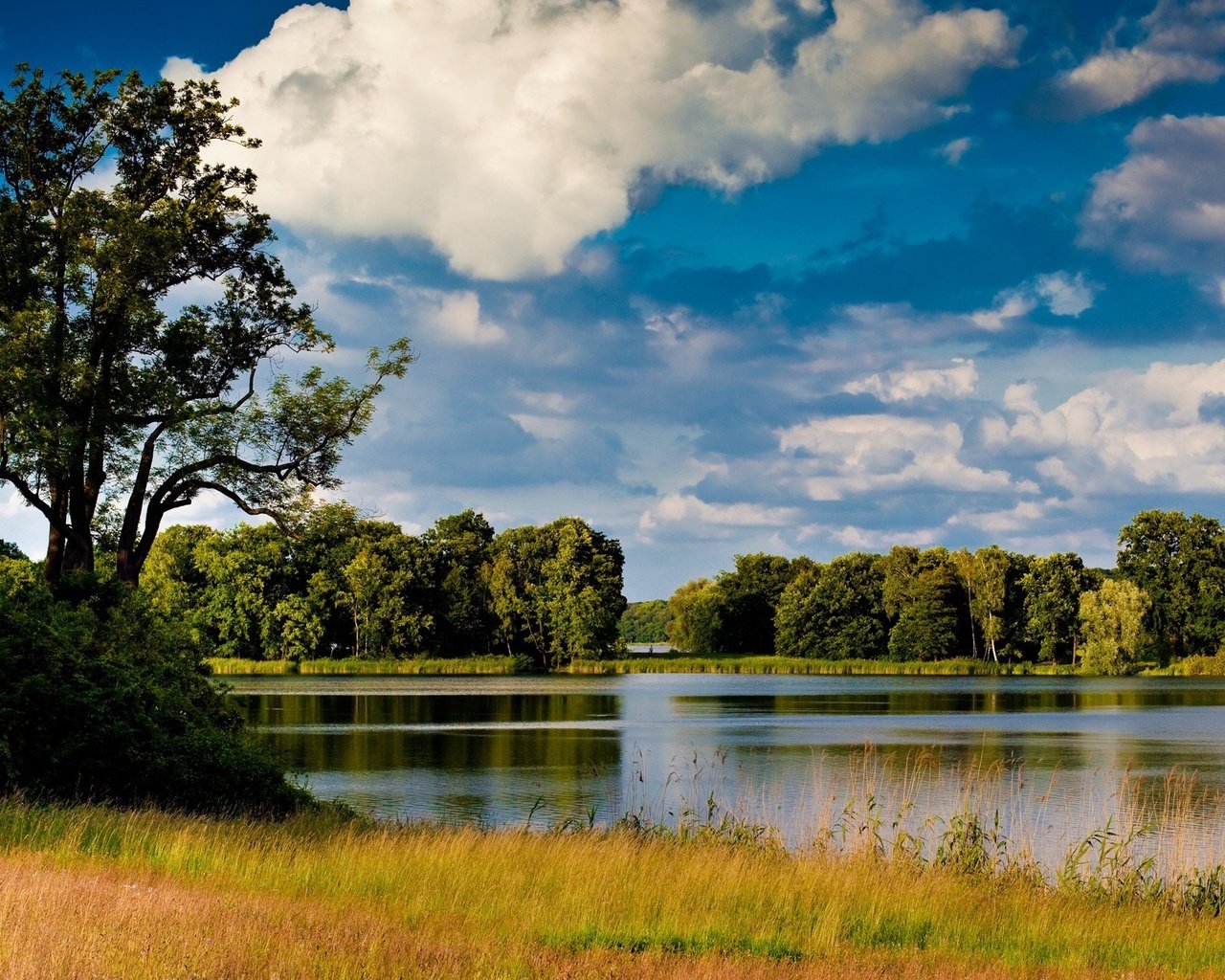 Обои небо, трава, вода, река, природа, дерево, обои, пейзаж, the sky, grass, water, river, nature, tree, wallpaper, landscape разрешение 1920x1200 Загрузить