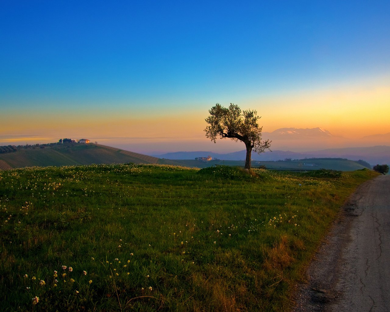 Обои дорога, трава, холмы, дерево, утро, road, grass, hills, tree, morning разрешение 2560x1600 Загрузить