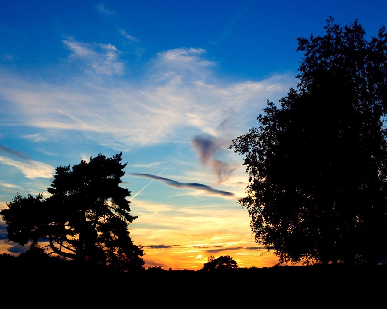 Обои небо, деревья, закат, the sky, trees, sunset разрешение 1920x1080 Загрузить