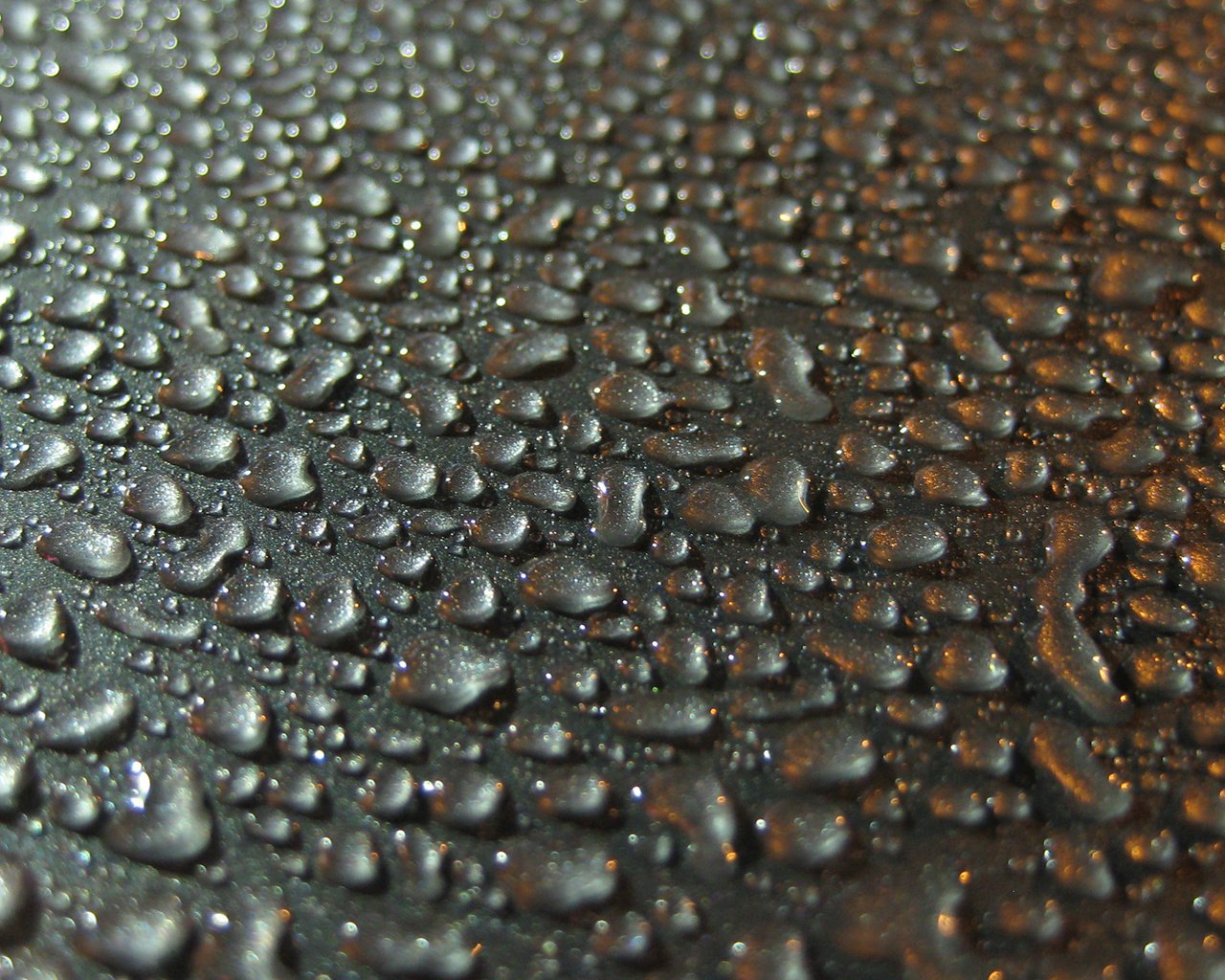 Обои вода, капли, water, drops разрешение 1920x1200 Загрузить