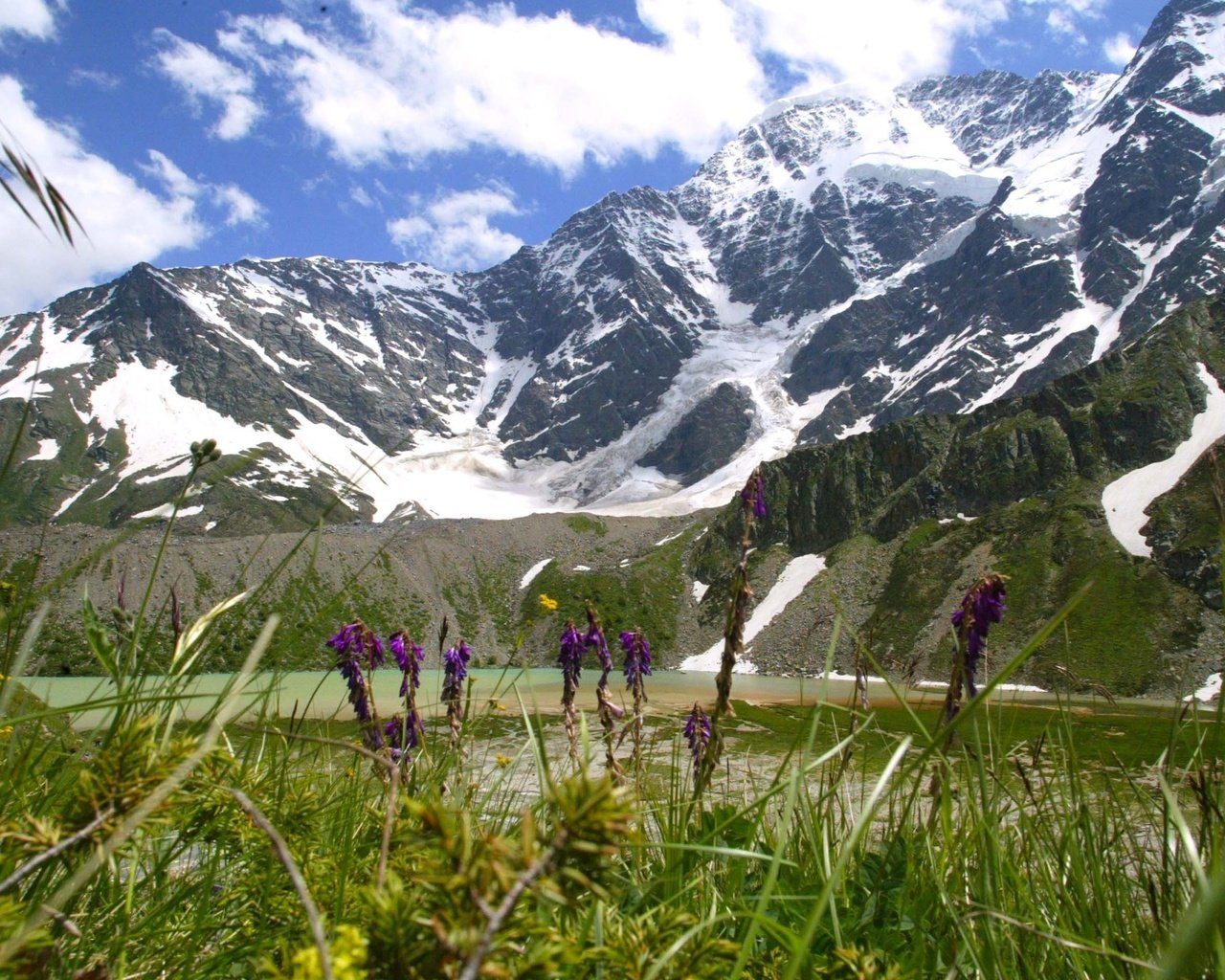 Обои трава, горы, луг, альпы, снежная вершина, grass, mountains, meadow, alps, snow peak разрешение 2560x1600 Загрузить