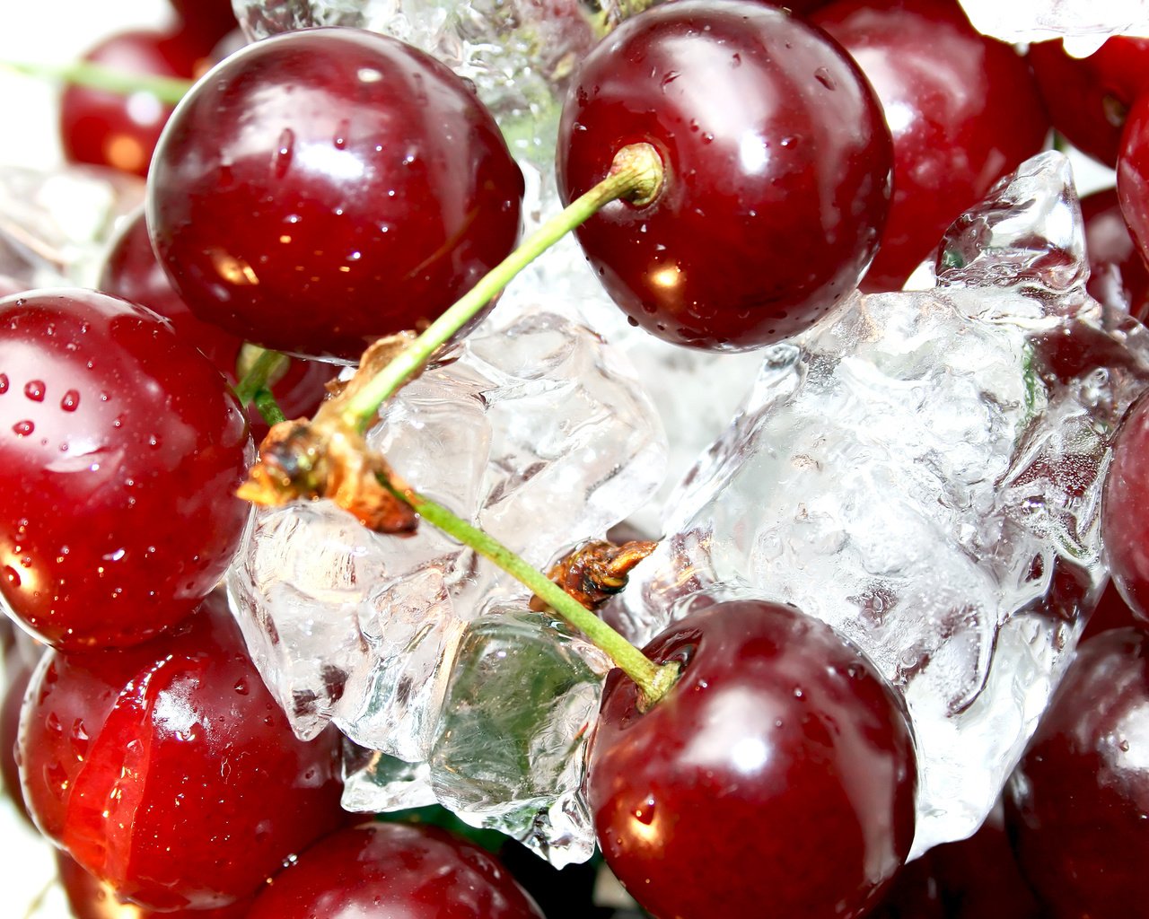 Обои макро, ягода, лёд, спелая, вишня, macro, berry, ice, ripe, cherry разрешение 2560x1600 Загрузить