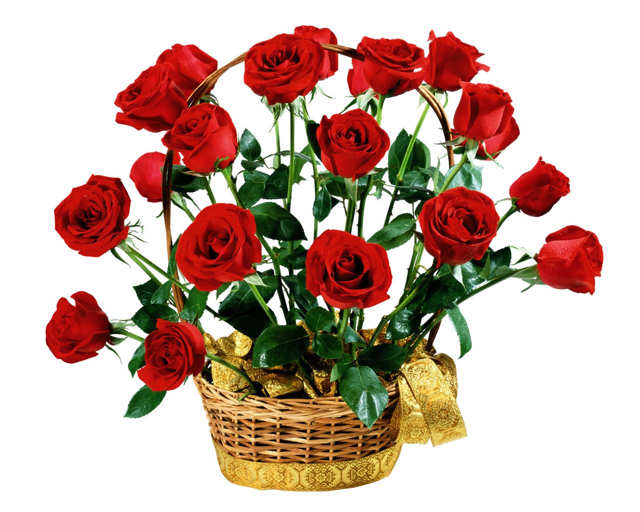 Обои цветы, розы, красные, букет, белый фон, подарок, flowers, roses, red, bouquet, white background, gift разрешение 1920x1200 Загрузить