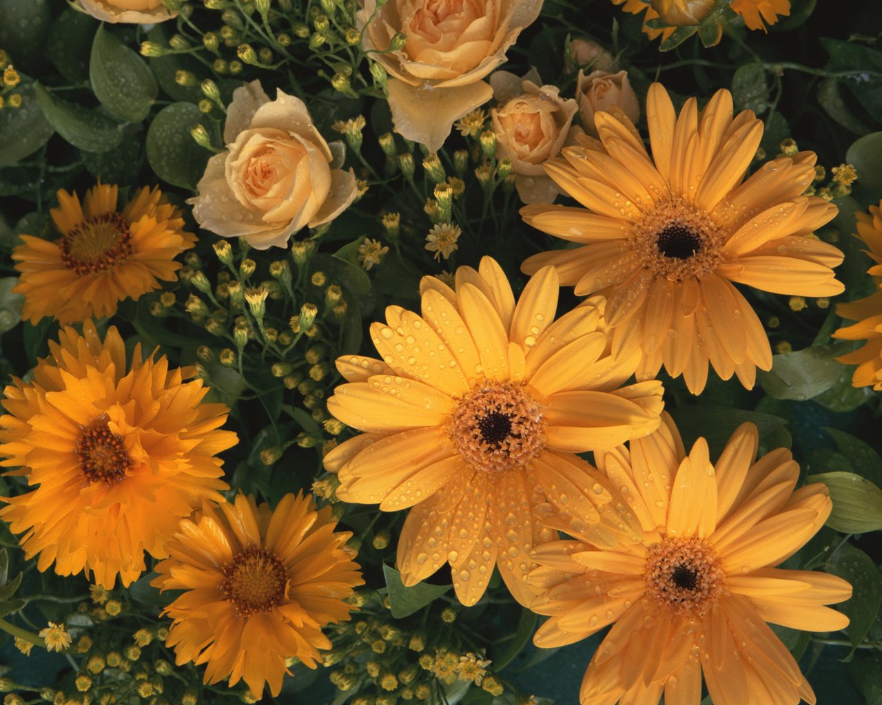 Обои цветы, лепестки, желтые, flowers, petals, yellow разрешение 1920x1200 Загрузить