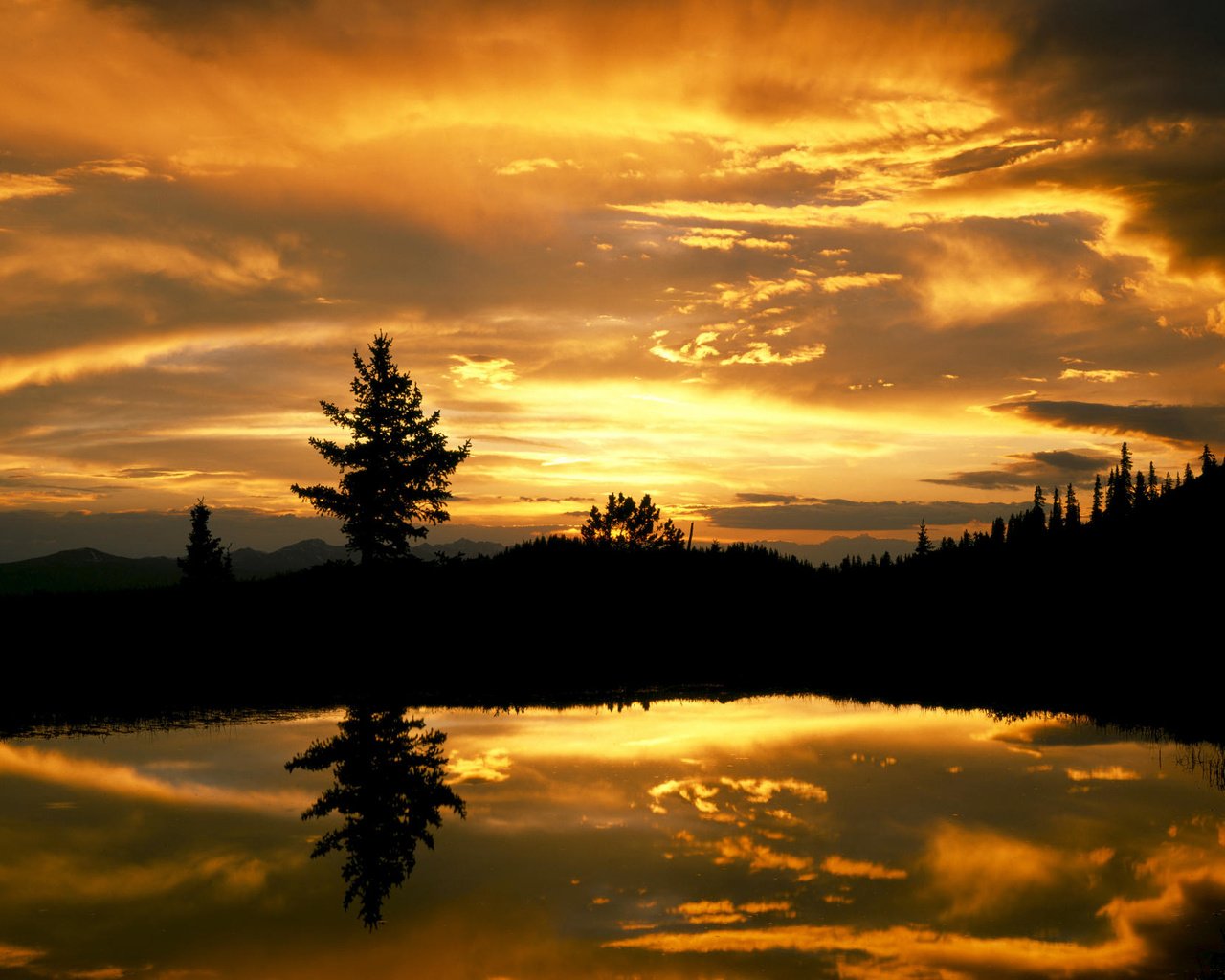 Обои небо, вечер, озеро, лес, закат, отражение, ель, the sky, the evening, lake, forest, sunset, reflection, spruce разрешение 2000x1333 Загрузить