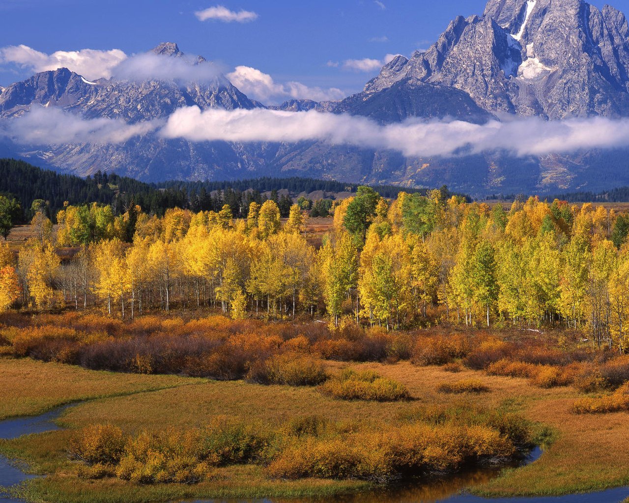 Обои облака, деревья, горы, осень, clouds, trees, mountains, autumn разрешение 1920x1080 Загрузить