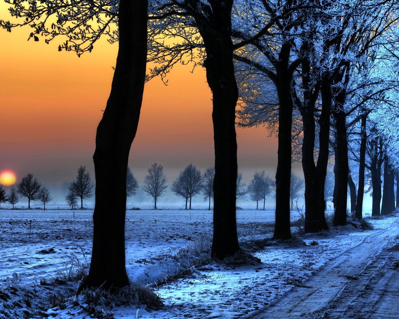 Обои дорога, сумерки, деревья, снег, природа, закат, зима, мороз, следы, road, twilight, trees, snow, nature, sunset, winter, frost, traces разрешение 2560x1600 Загрузить