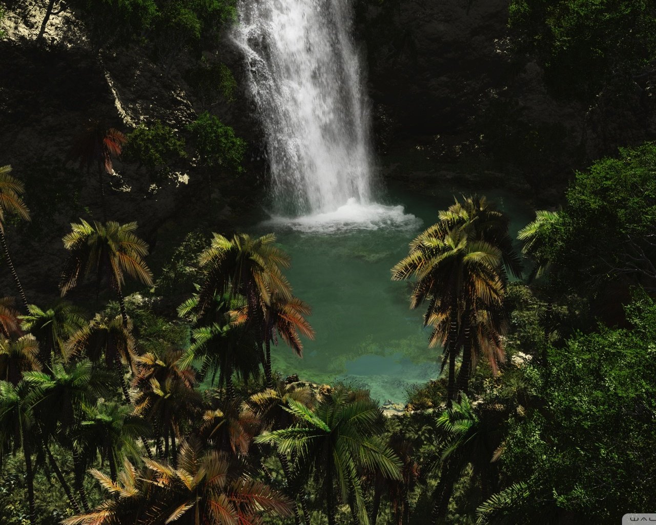 Обои вода, зелень, водопад, пальмы, water, greens, waterfall, palm trees разрешение 1920x1080 Загрузить