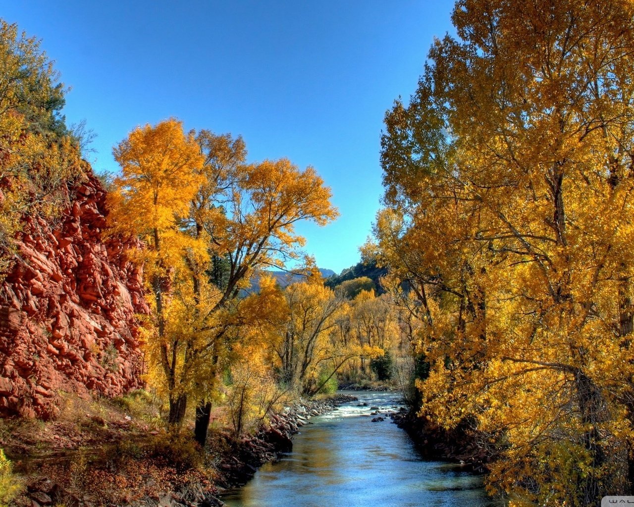 Обои небо, деревья, река, природа, осень, желтые листья, the sky, trees, river, nature, autumn, yellow leaves разрешение 1920x1080 Загрузить