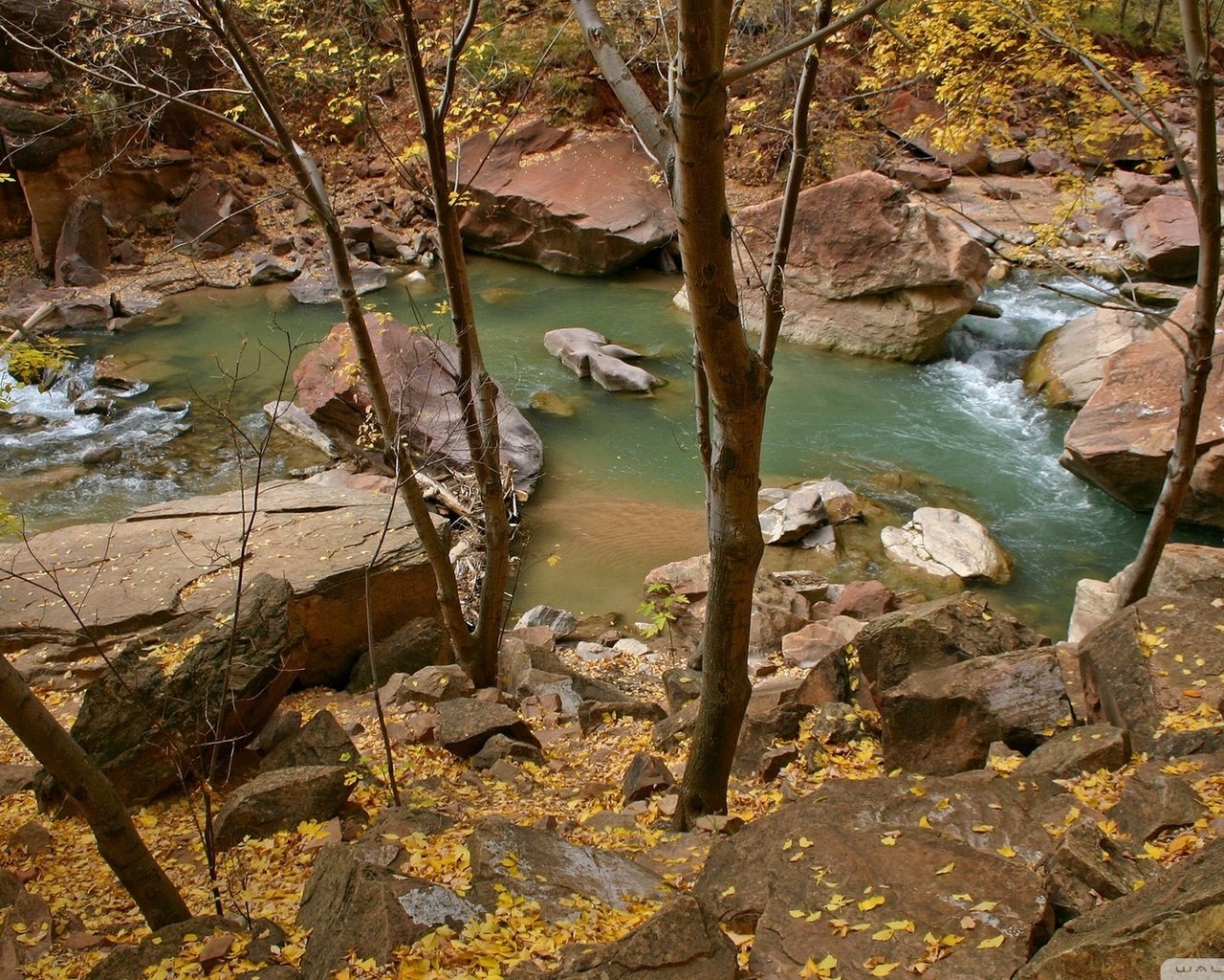 Обои река, природа, камни, лес, пейзаж, листва, осень, river, nature, stones, forest, landscape, foliage, autumn разрешение 1920x1080 Загрузить