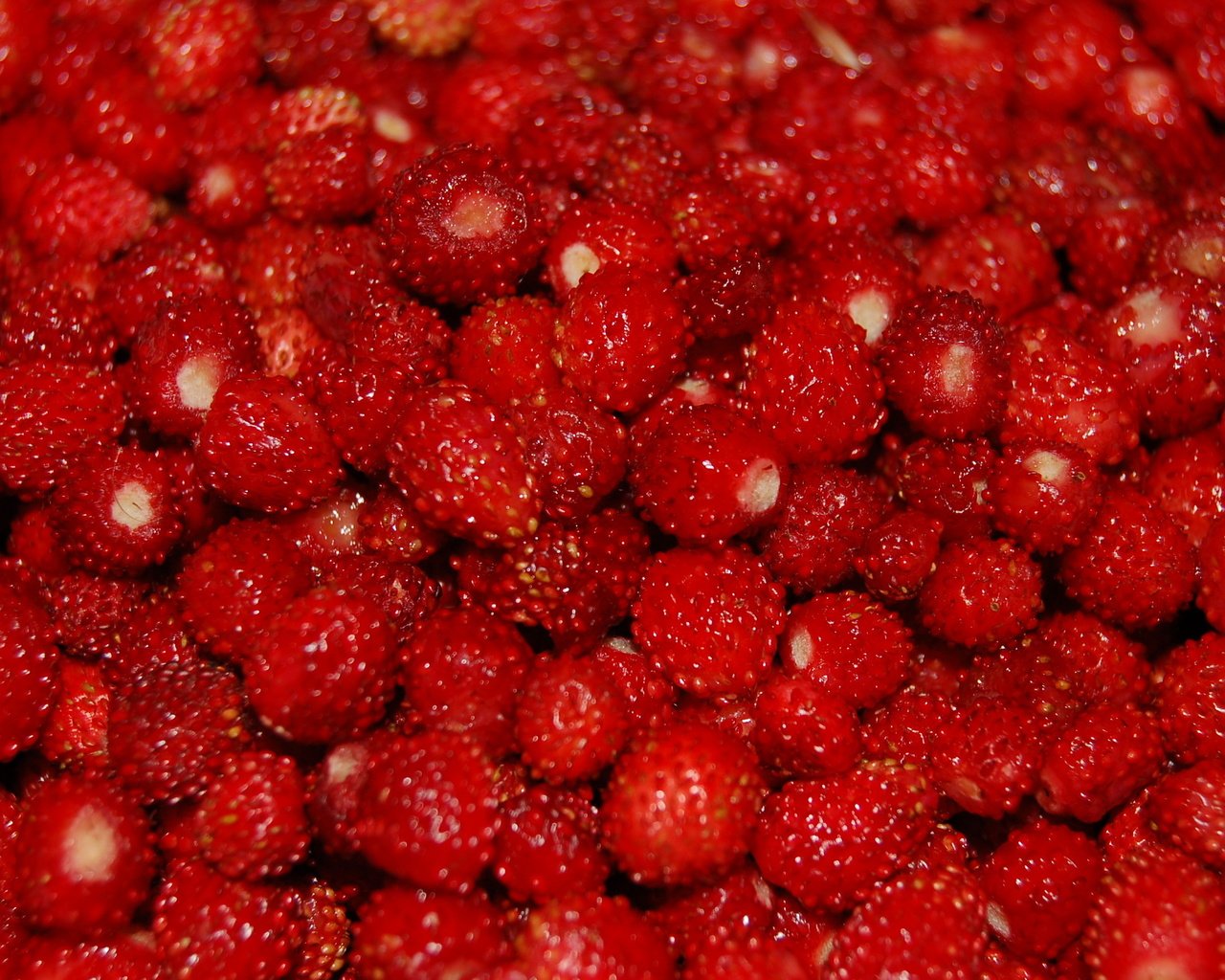 Обои ягоды, много, земляника, berries, a lot, strawberries разрешение 2560x1600 Загрузить