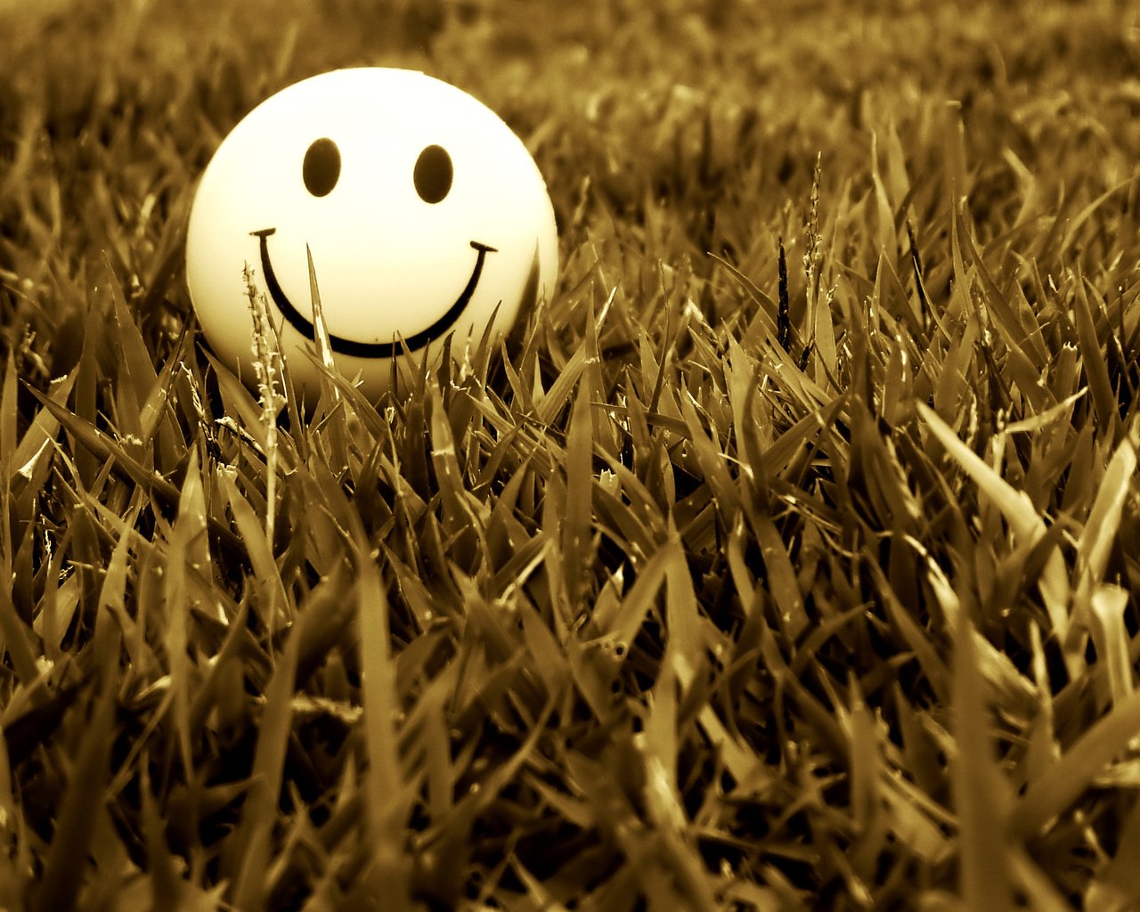 Обои трава, настроение, улыбка, смайл, grass, mood, smile разрешение 2048x1536 Загрузить