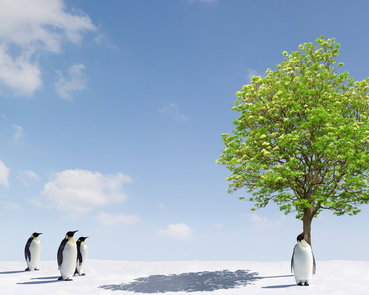 Обои деревья, снег, дерево, фото, животные, лёд, пингвины, trees, snow, tree, photo, animals, ice, penguins разрешение 2560x1600 Загрузить