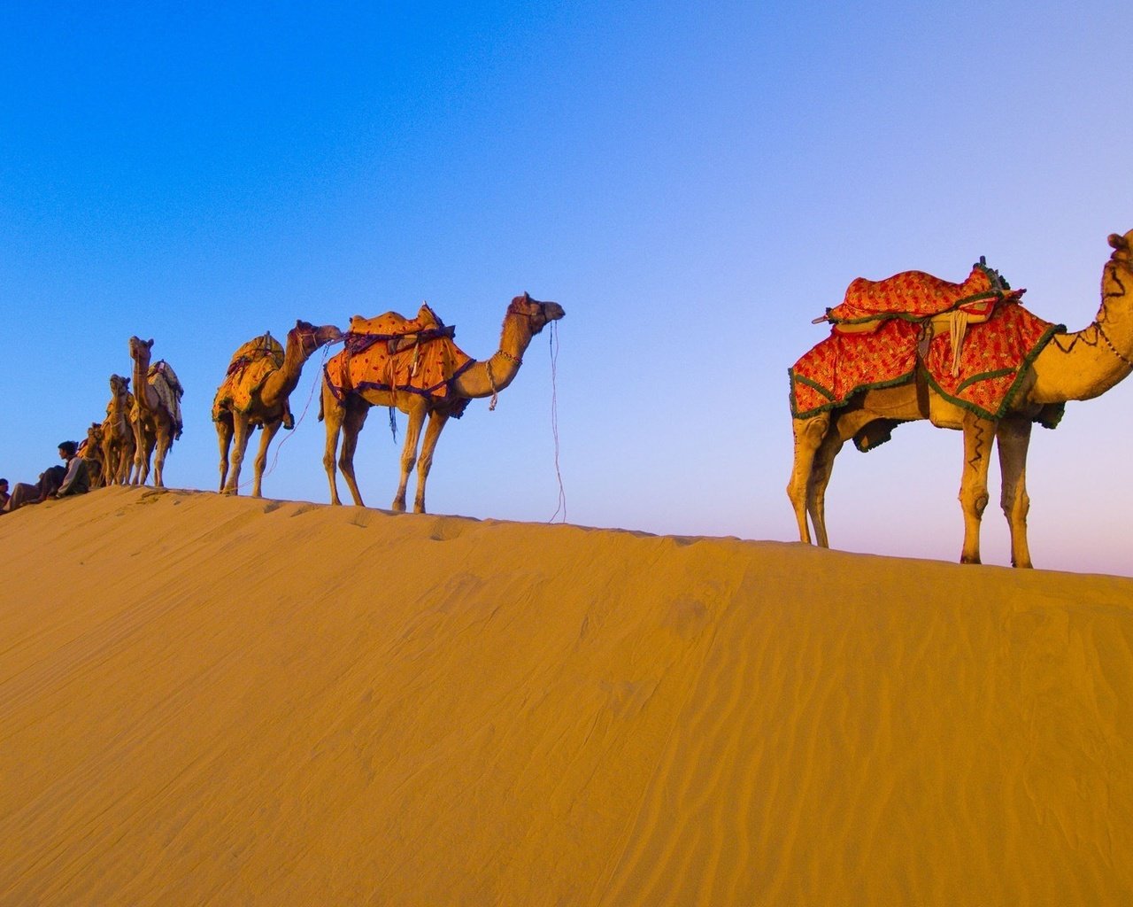 Обои пустыня, караван, верблюды, desert, caravan, camels разрешение 1920x1080 Загрузить