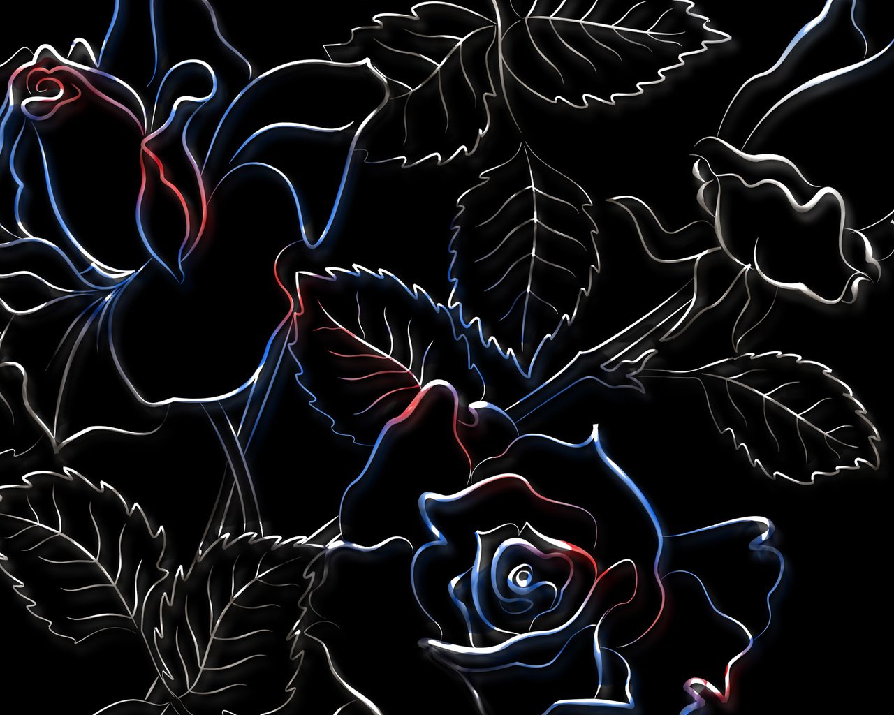 Обои рисунок, розы, черный фон, figure, roses, black background разрешение 2560x1600 Загрузить