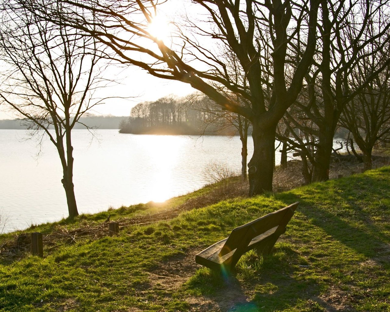 Обои деревья, озеро, берег, парк, скамейка, trees, lake, shore, park, bench разрешение 2048x1280 Загрузить