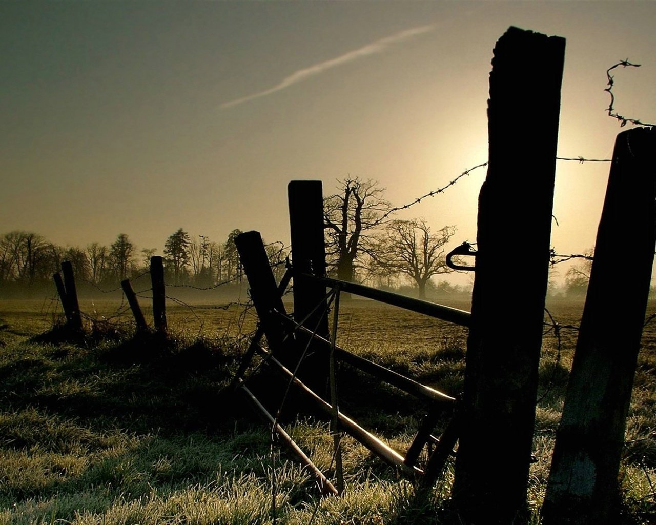 Обои свет, трава, утро, проволока, забор, ограждение, заморозки, light, grass, morning, wire, the fence, freezing разрешение 1920x1080 Загрузить