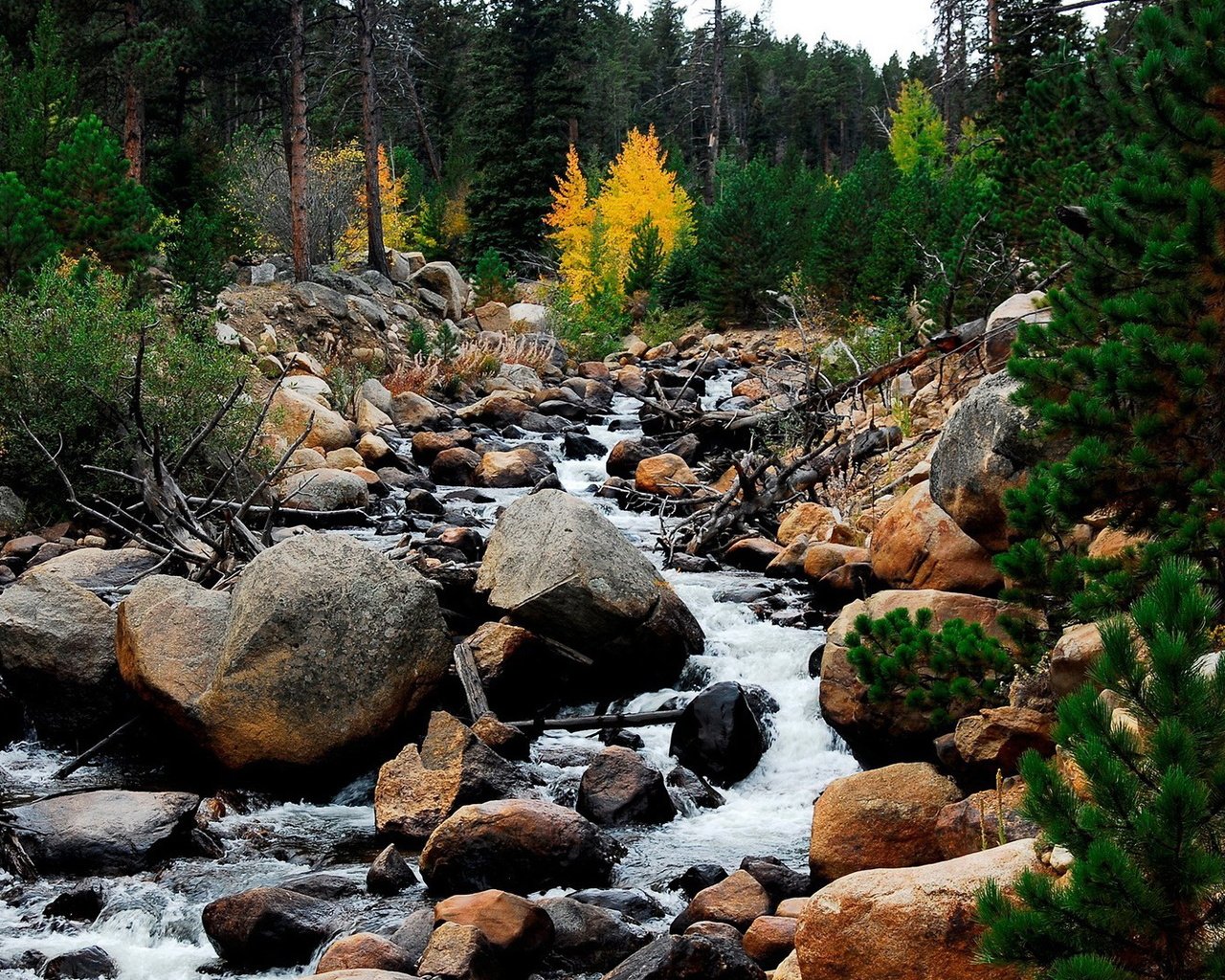 Обои небо, поток, деревья, вода, горы, природа, камни, пейзаж, ручей, the sky, trees, water, mountains, nature, stones, landscape, stream разрешение 1920x1080 Загрузить