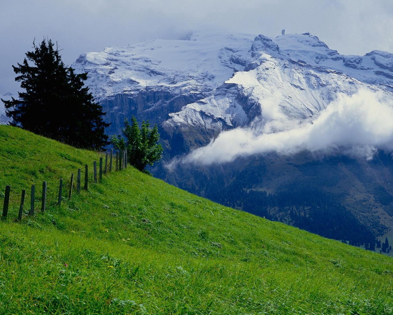 Обои небо, горы, зелень, лето, луг, альпы, the sky, mountains, greens, summer, meadow, alps разрешение 1920x1080 Загрузить