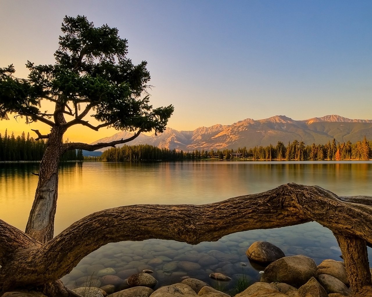 Обои вечер, корни, озеро, горы, дерево, камни, берег, лес, стволы, the evening, roots, lake, mountains, tree, stones, shore, forest, trunks разрешение 1920x1080 Загрузить