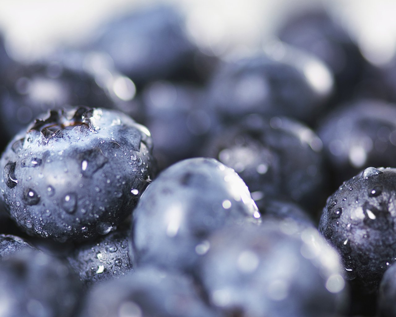 Обои капли, ягоды, урожай, черника, крупным планом, drops, berries, harvest, blueberries, closeup разрешение 1920x1200 Загрузить