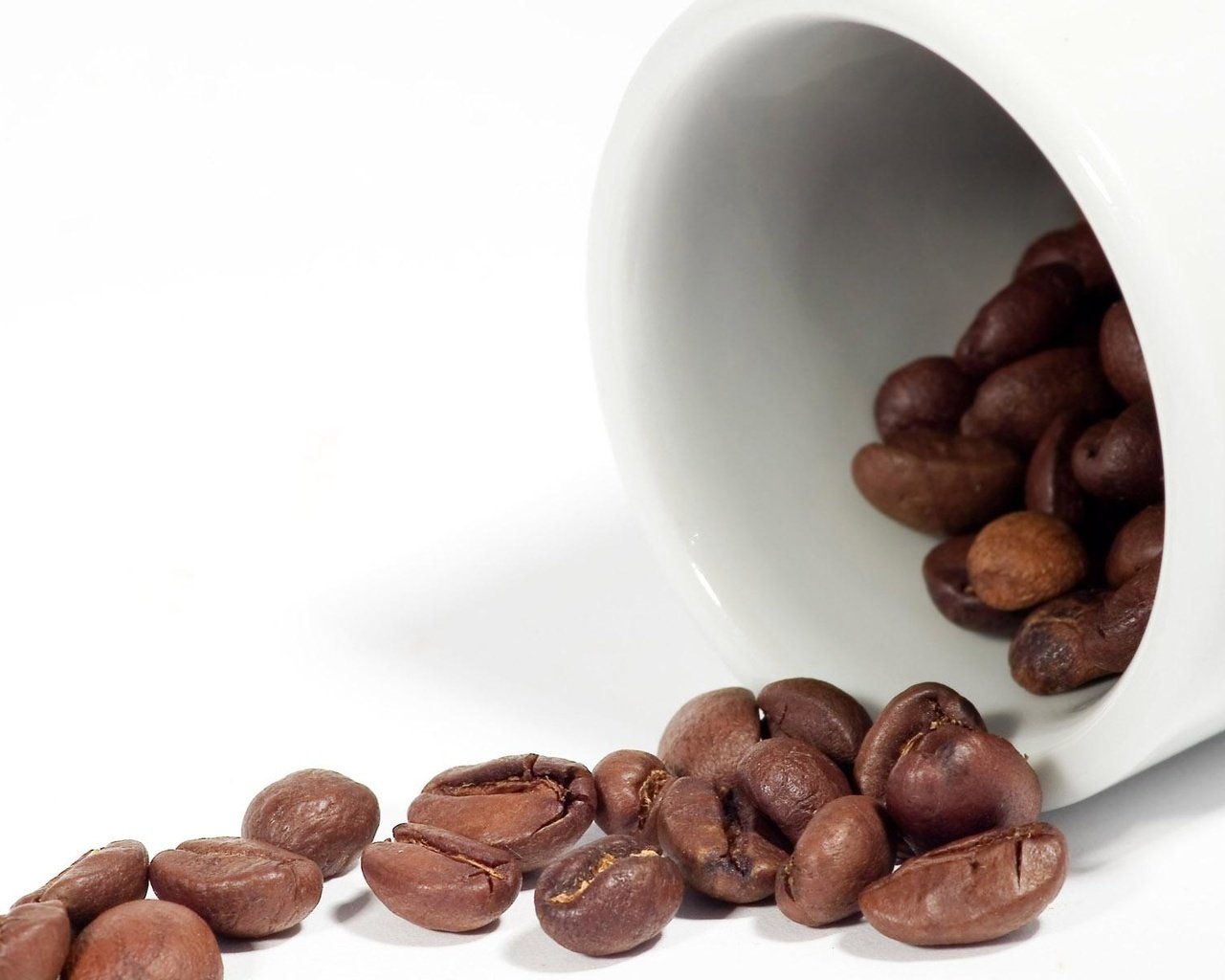 Обои зерна, кофе, белый фон, grain, coffee, white background разрешение 1920x1200 Загрузить