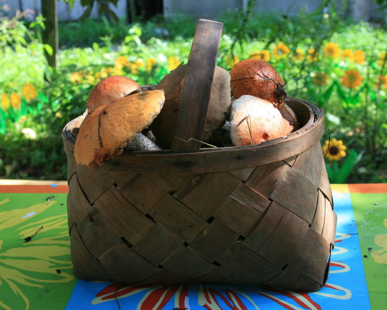 Обои природа, осень, грибы, корзина, грибы в лукошке, nature, autumn, mushrooms, basket, mushrooms in a basket разрешение 1920x1280 Загрузить