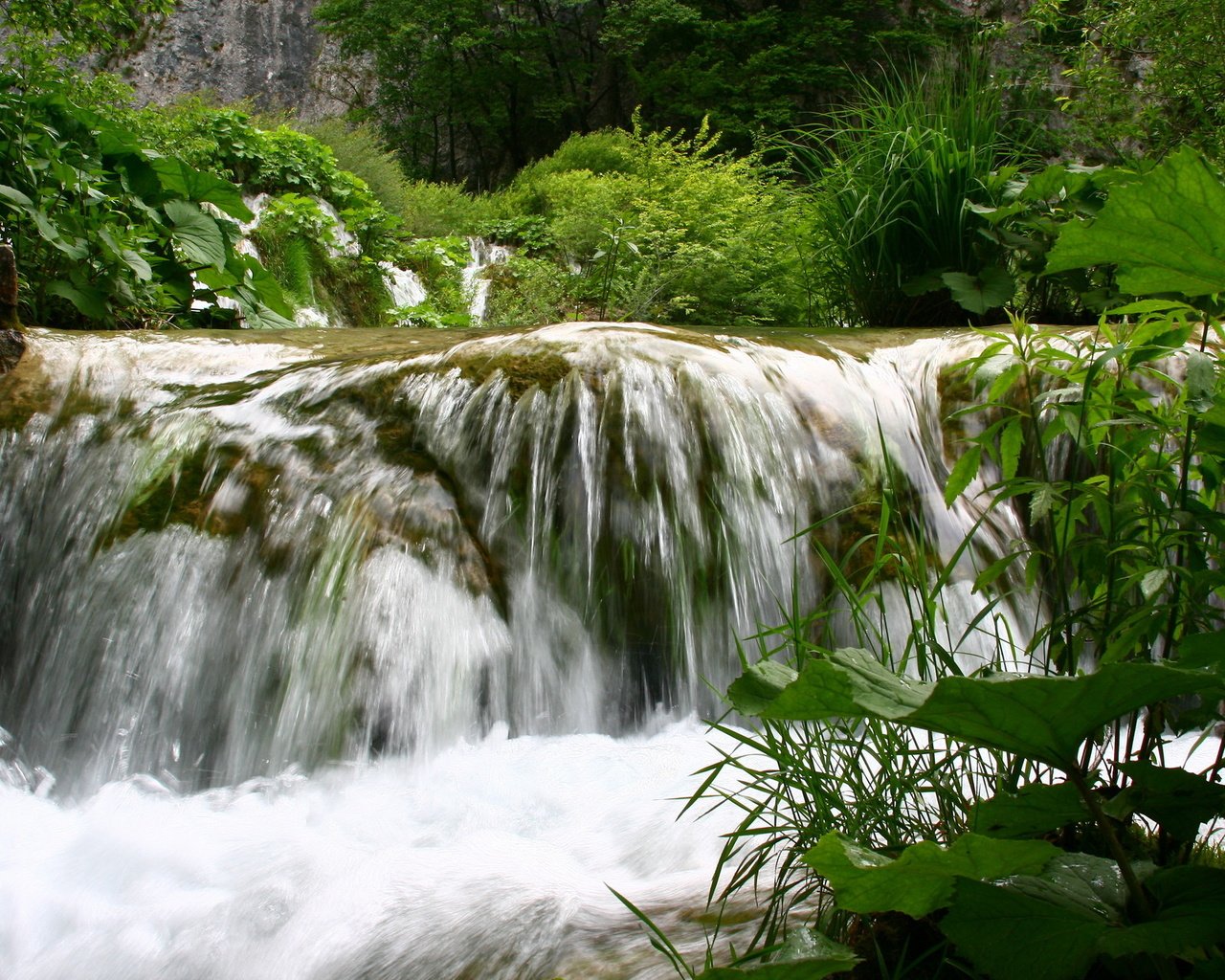 Обои вода, природа, зелень, пейзаж, лето, водопад, небольшой водопад, water, nature, greens, landscape, summer, waterfall, a small waterfall разрешение 1920x1280 Загрузить