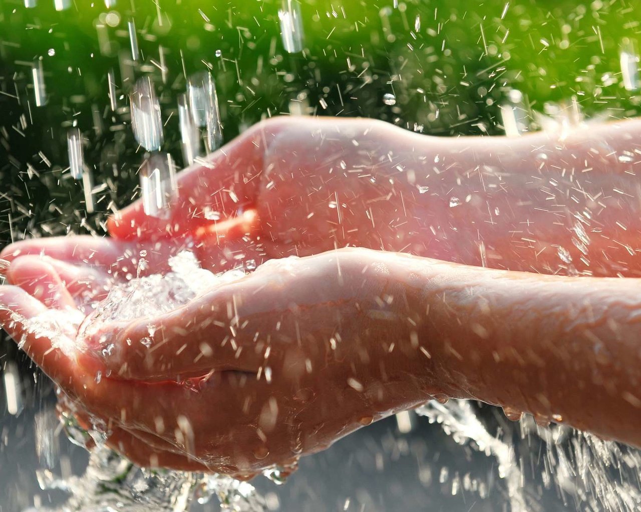 Обои вода, капли, дождь, руки, ладони, water, drops, rain, hands, palm разрешение 1920x1200 Загрузить