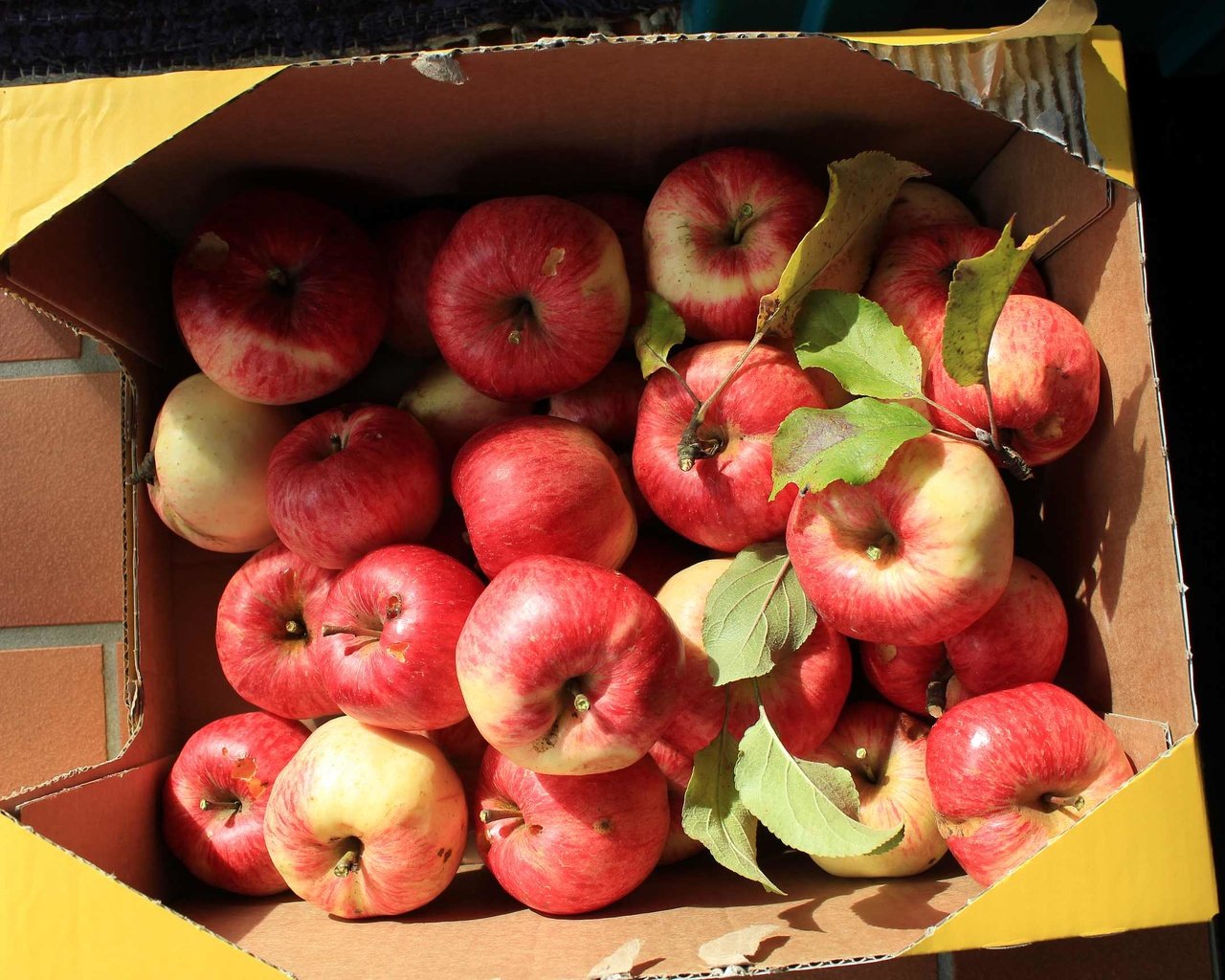 Обои фрукты, яблоки, плоды, коробка, fruit, apples, box разрешение 2592x1728 Загрузить