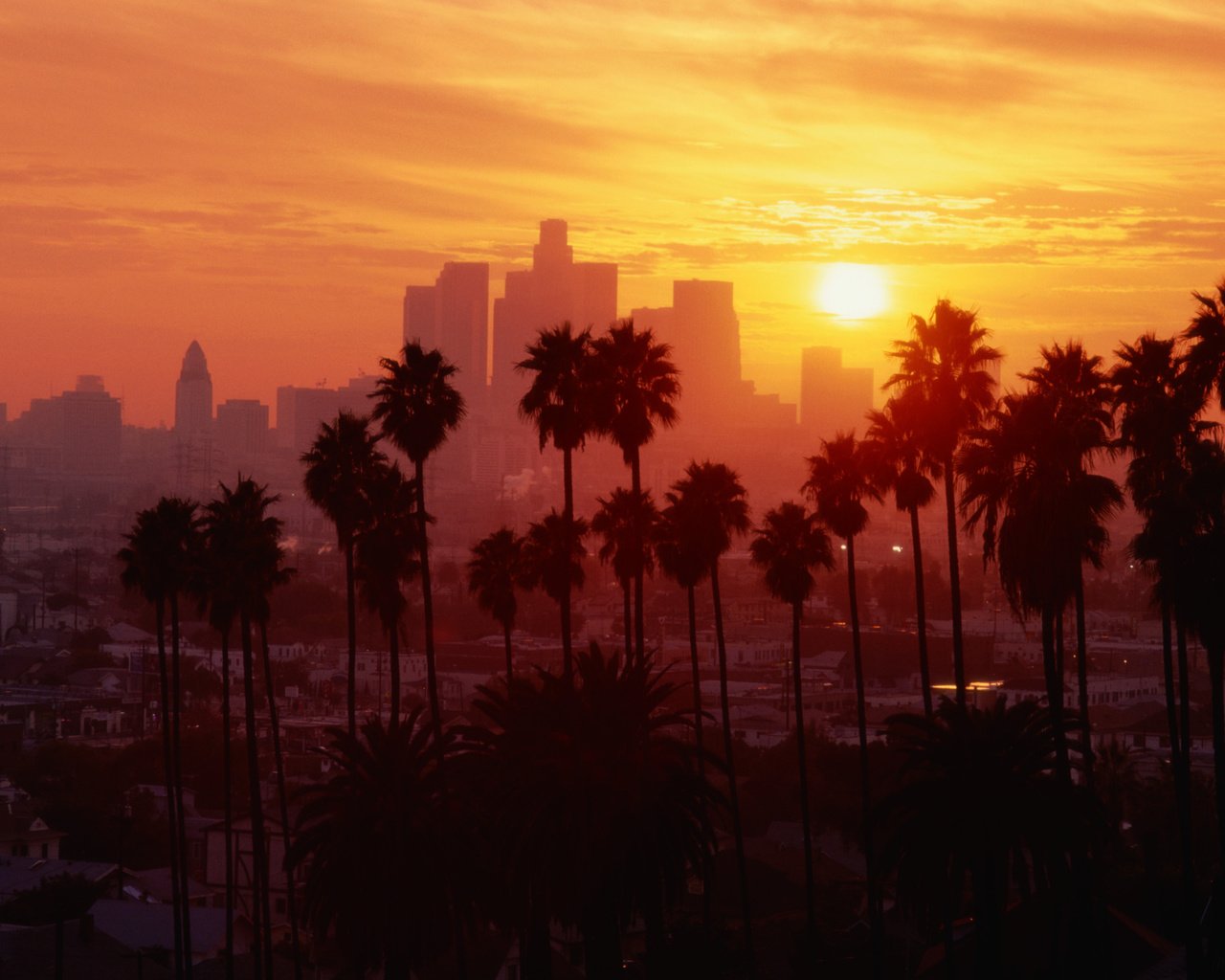 Обои закат, город, небоскребы, пальмы, sunset, the city, skyscrapers, palm trees разрешение 3884x2564 Загрузить