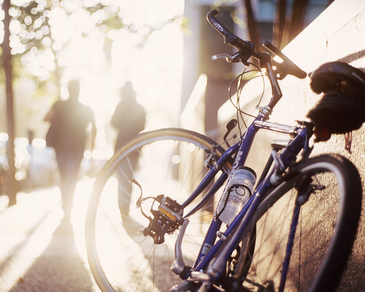 Обои солнце, улица, велосипед, тратуар, the sun, street, bike, the sidewalk разрешение 1920x1200 Загрузить