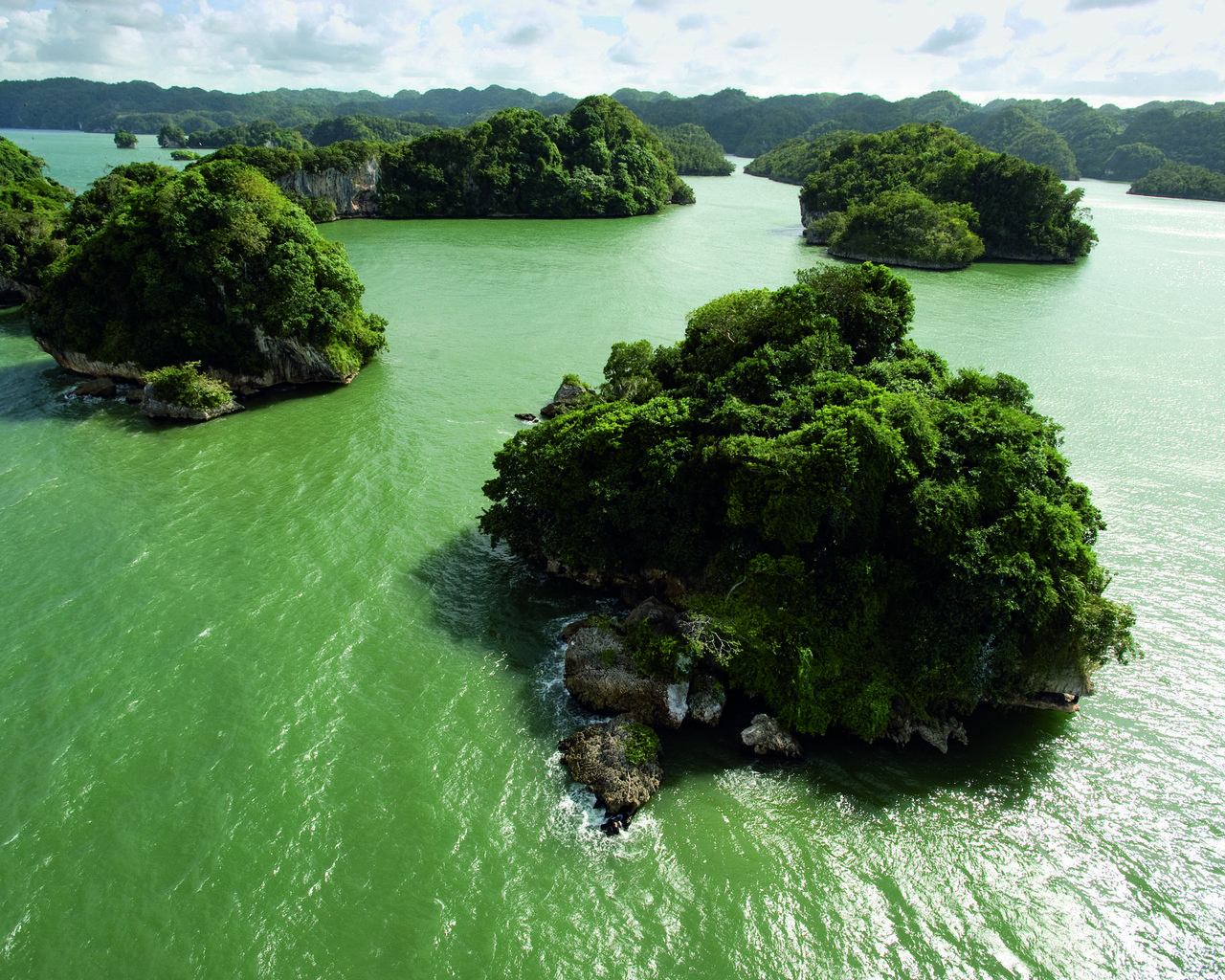 Обои вода, зелень, суша, острова, материк, water, greens, drying, islands, mainland разрешение 2560x1600 Загрузить