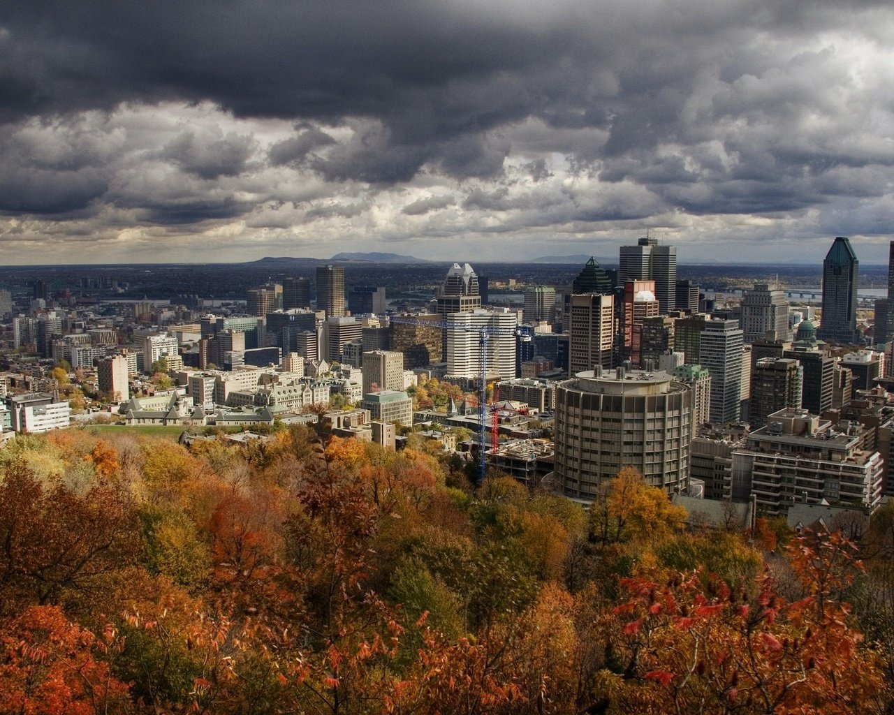 Обои небо, деревья, город, осень, здания, канада, монреаль, the sky, trees, the city, autumn, building, canada, montreal разрешение 1920x1440 Загрузить