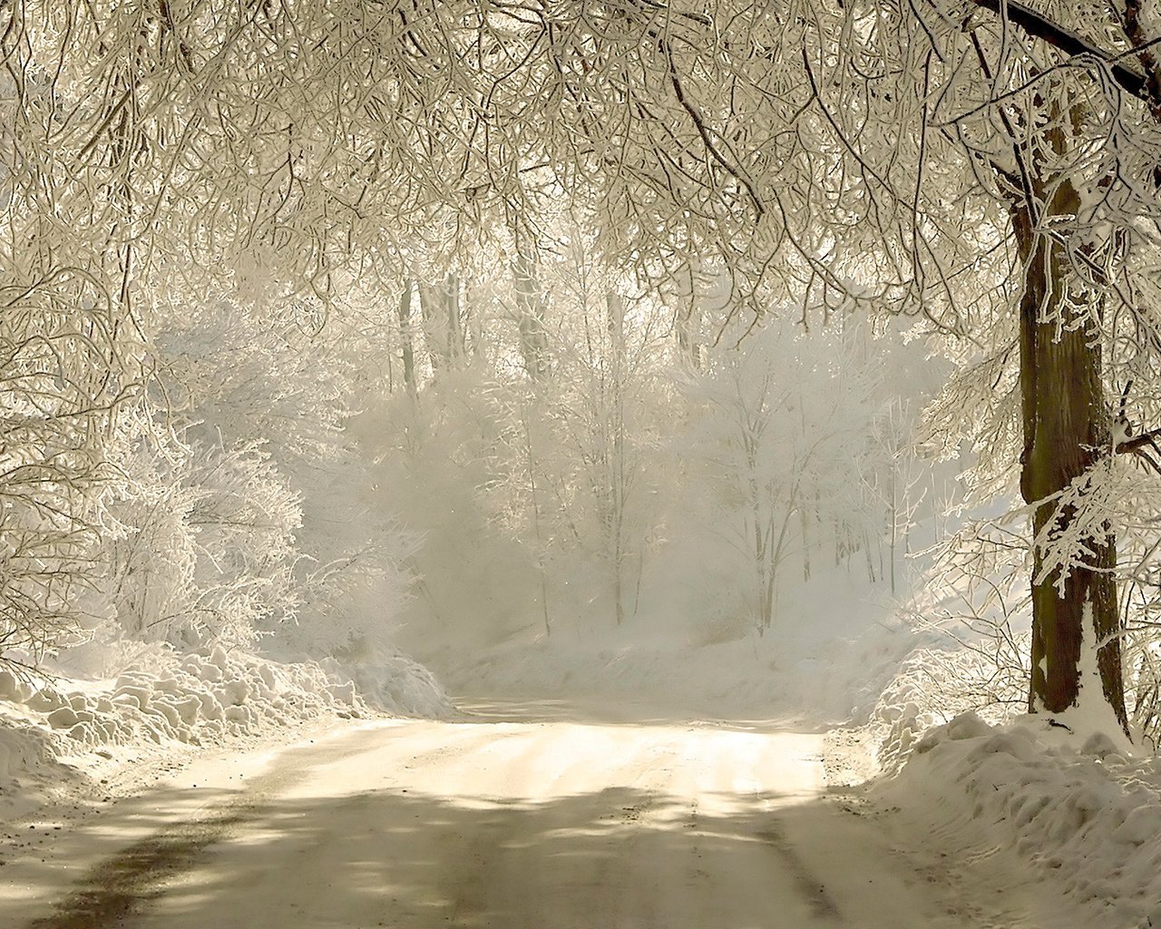 Обои дорога, снег, природа, лес, зима, ветки, мороз, road, snow, nature, forest, winter, branches, frost разрешение 1920x1080 Загрузить